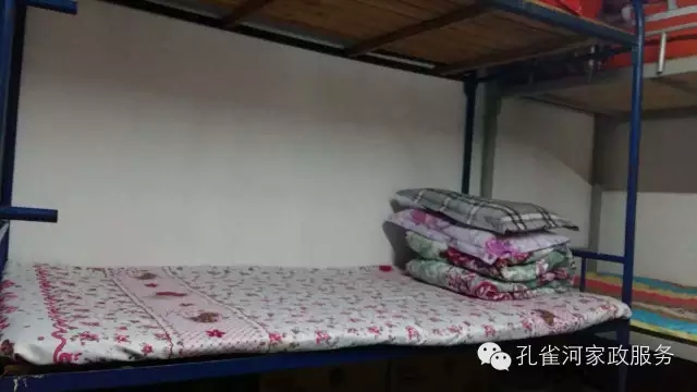��ȸ�Ӽ�����ķ������ů��ů�����ģ�