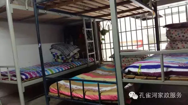 ��ȸ�Ӽ�����ķ������ů��ů�����ģ�
